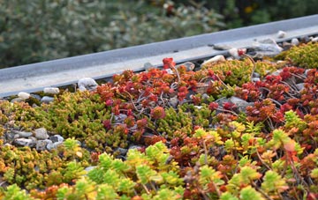 the cost of Legsby green roof installation